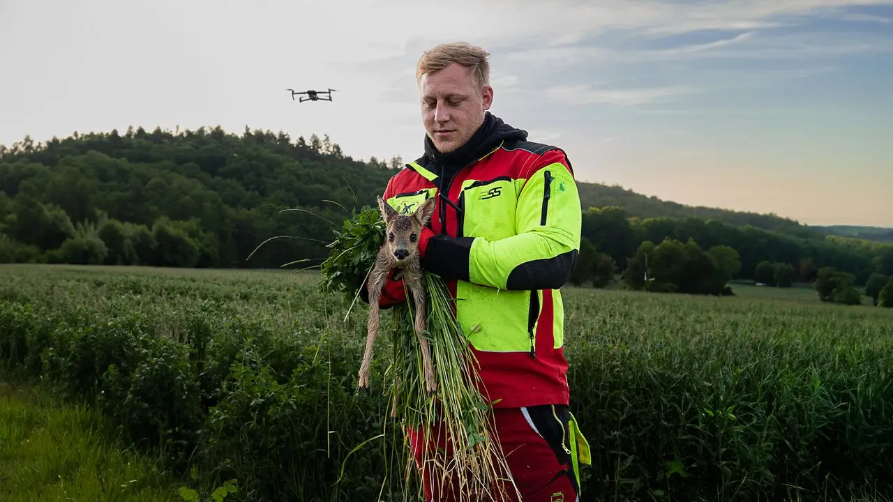 Kitzrettung mit Drohne – Jäger trägt gerettetes Rehkitz aus dem Feld